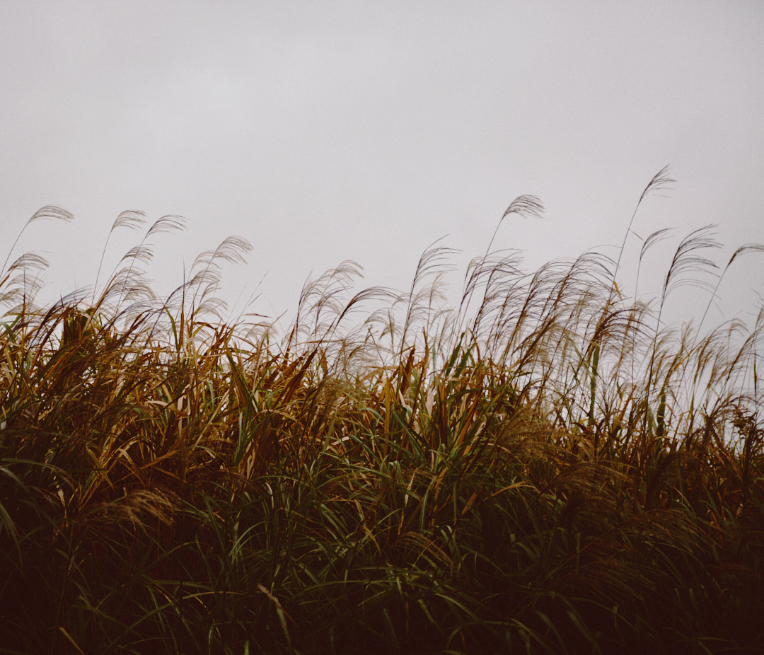 _K3_6704.jpg